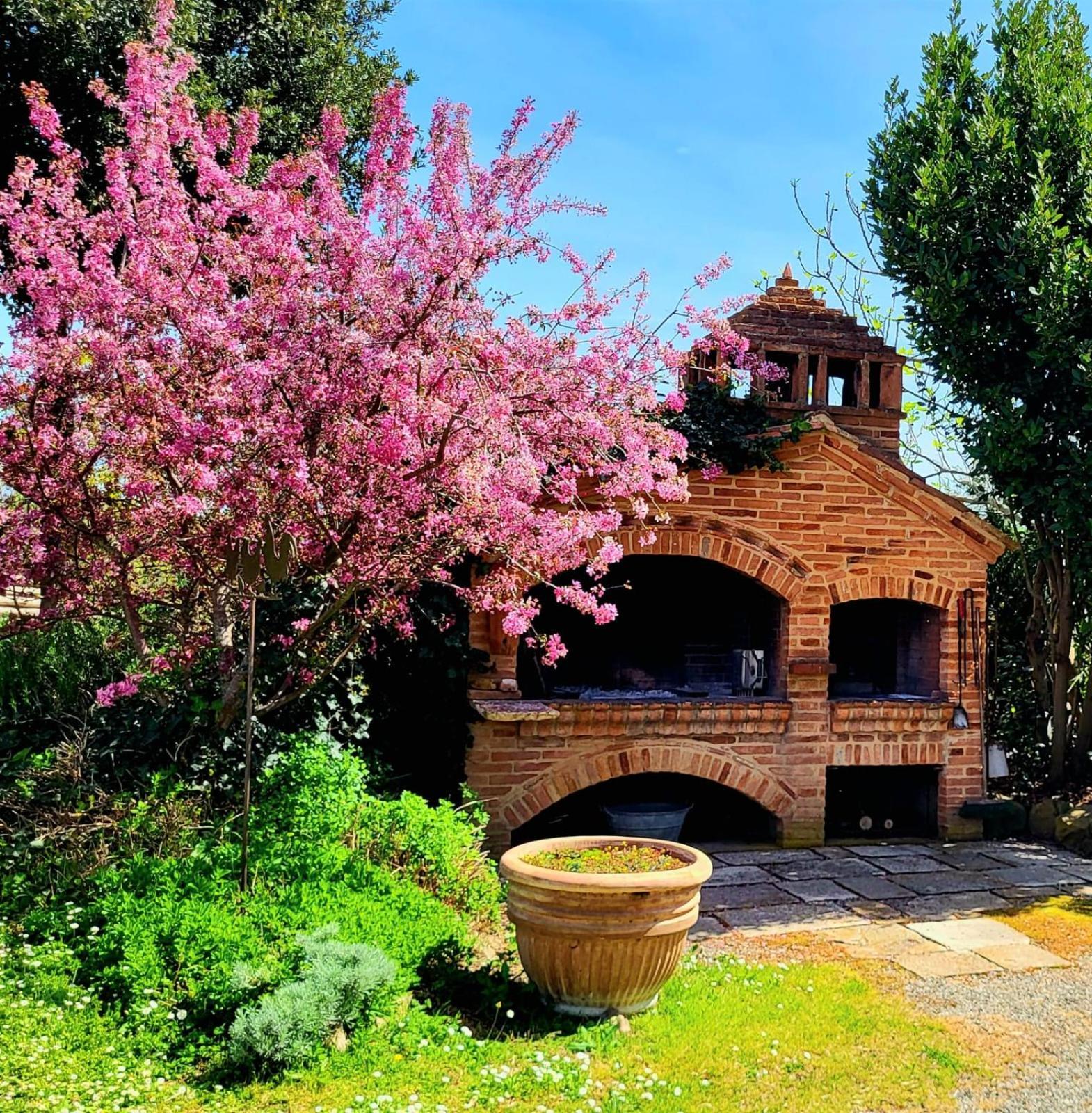 Podere Cunina Buonconvento Luaran gambar